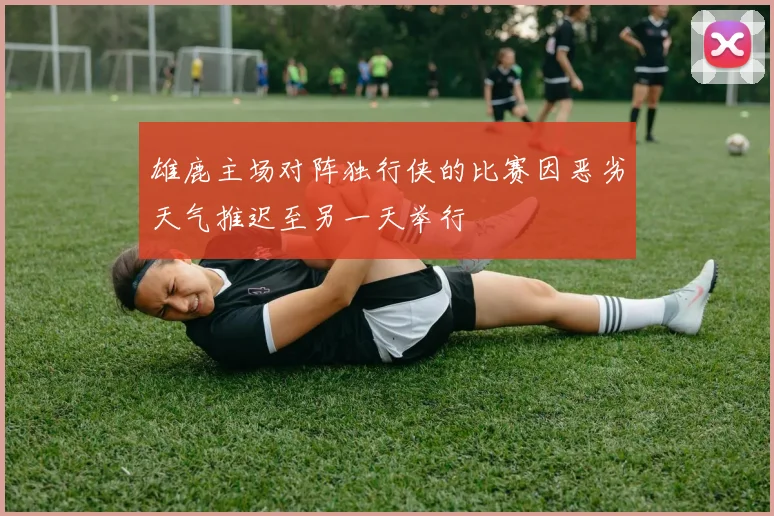 雄鹿主场对阵独行侠的比赛因恶劣天气推迟至另一天举行