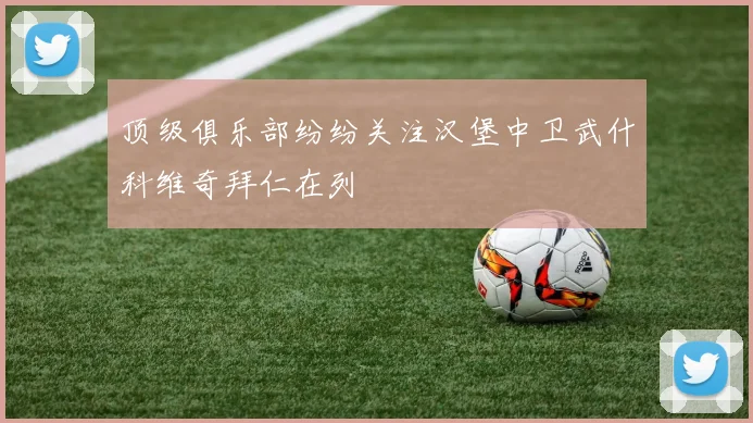 顶级俱乐部纷纷关注汉堡中卫武什科维奇拜仁在列