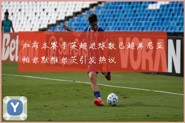 加布本赛季英超进球数已超库尼亚帕尔默维尔茨引发热议