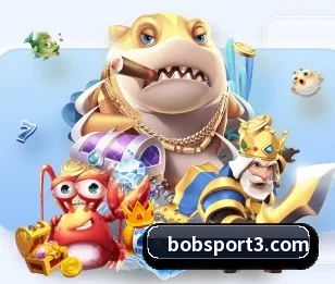 BOB足球的故事