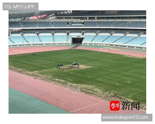 草皮质量堪忧王大雷呼吁大家共同维护主场草坪环境